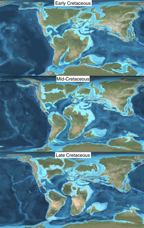 between 65 and 145 million years ago|The Cretaceous Period: What was Earth like before dinosaurs went.